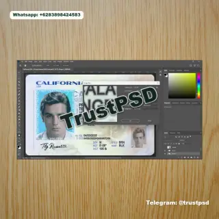 California Driver License PSD Template 2026 Back Sid dpi
