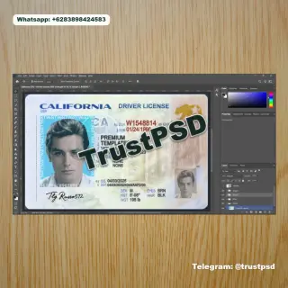 California Driver License PSD Template 2026 Front Sid