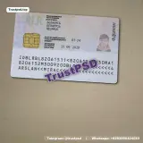 Belarus ID Card back sample preview