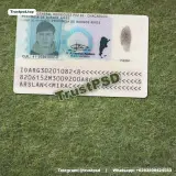 Argentina ID Card Version 1 back view sample image for digital download
