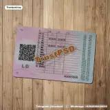 Albania Driver License Editable PSD Version 2 back side layout preview