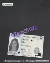 USA Virginia Driver License 2024 - 2400dpi UV front view photo preview for download