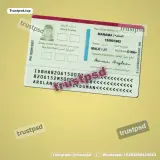 Bahrain ID Card PSD Templates back view document example