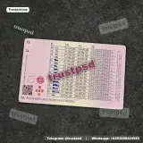 Portugal Driver License back side high quality preview for download