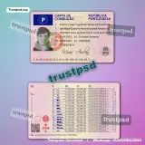Portugal Driver License front and back reference image available for download