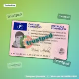 Portugal Driver License front design preview for digital download