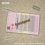Portugal Driver License Photoshop Template back side image preview for download
