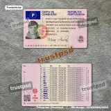 Portugal Driver License Photoshop Template two-sided image preview for digital download
