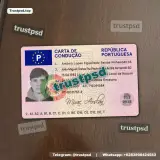 Portugal Driver License PSD Template front view picture example available for download