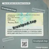 belgium adult id card PSD Template back side detail preview