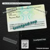 belgium adult id card PSD Templates back side reference preview