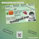 belgium adult id card PSD Templates front view reference preview