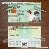 belgium adult id card PSD Templates two-sided layout