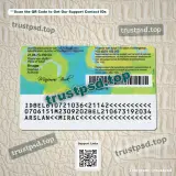 belgium child id card Template PSD back side high quality preview