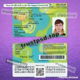 belgium child id card Template PSD front and back view document preview for digital download