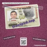 bolivia id card PSD Template front view photo preview