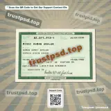 brazil id card Template PSD Version 1 back view high quality preview
