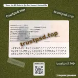 bulgaria id card PSD Template back view sample for download
