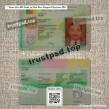 cameroon id card PSD Templates front and back example