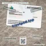 canada id card PSD Templates back view reference preview