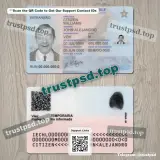 chile id card PSD Templates front and back view reference preview