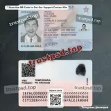 chile id card Template PSD two-sided editable preview for download