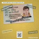 china id card PSD Template version 2 front photo preview