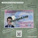czech republic id card PSD Template front reference preview