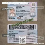 el salvador id PSD Templates two-sided picture for download