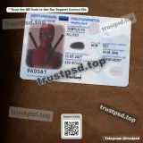 estonia id card Template PSD version 3 front photo preview