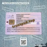 georgia id card PSD Templates version 2 back side layout example available for download