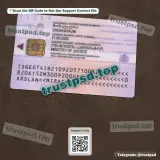 georgia id card Template PSD version 2 back side reference preview
