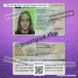 Germany Id Card PSD Template version 6 front and back preview