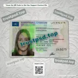 Germany Id Card PSD Templates version 6 front example