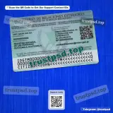 guatemala id card Template PSD version 2 back view editable layout for digital download