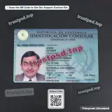 guatemala id card Template PSD version 2 front view reference preview