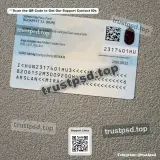 hungary id card PSD Templates back view high quality preview